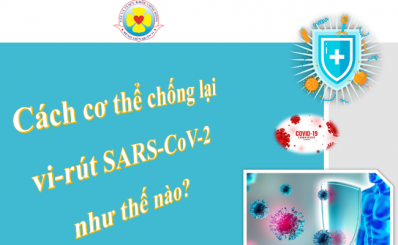 Cách cơ thể chống lại vi-rút SARS-CoV-2 như thế nào?